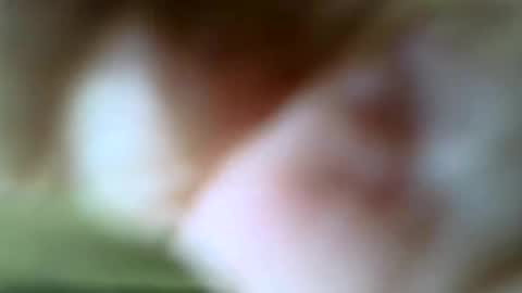 gazjones231 online show from 11.16.25