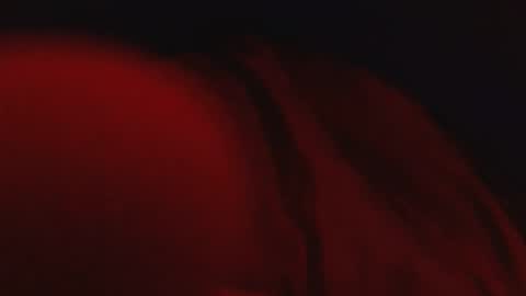 Snapshot of genitalwars chatting on 03.04.26 genitalwars online show from 03.04.26