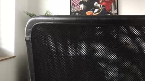 Snapshot of german3003 chatting on 10.28.25 german3003 online show from 10.28.25