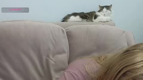 Gerta online show from 02.20.26