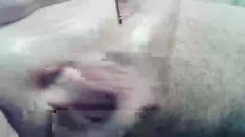 ghost1805 online show from 12.10.24