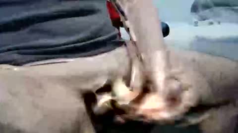 ghost1805 online show from 10.06.25