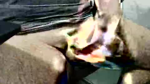 ghost1805 online show from 10.14.25