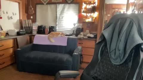 ghostboygbc online show from 11.26.25