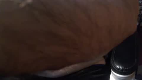 Gianni9000000 online show from 02.05.26