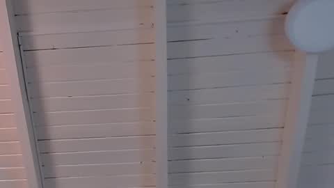 gigi wilden online show from 02.12.25