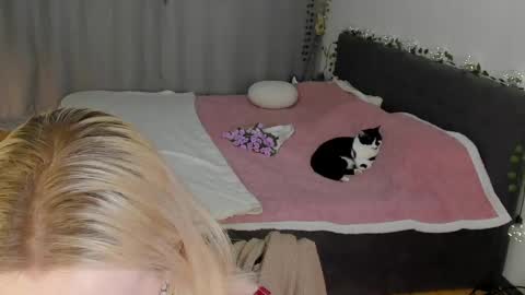 Gin online show from 05.02.26