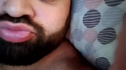 gipsybear31 online show from 08.02.26