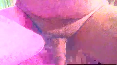 Snapshot of girafsnoop chatting on 12.01.25 girafsnoop online show from 12.01.25