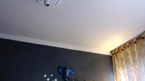 piggy boy online show from 01.31.25