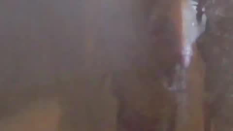 lovegirlscallme online show from 03.07.26