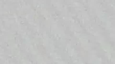Gissy online show from 04.23.26