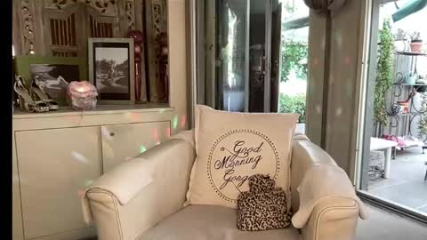 Gl1tter Barbie online show from 03.16.26