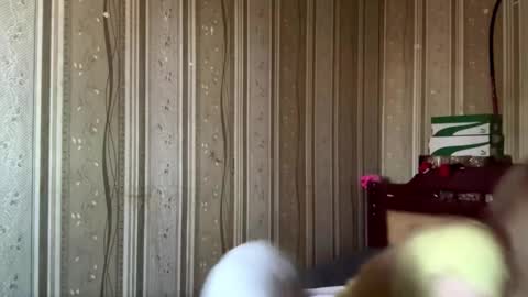 Snapshot of gladisstipes chatting on 03.22.26 Hello My name is Ashley online show from 03.22.26