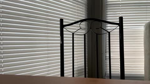 glazehoney online show from 01.10.25