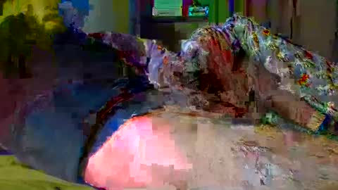 guybuzz online show from 12.18.24