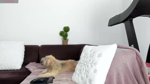 Alice online show from 01.13.26