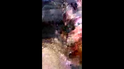 dan online show from 02.22.26