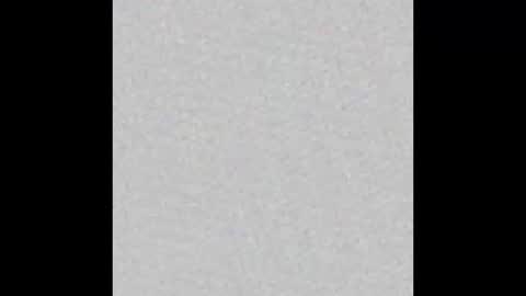 black  white online show from 03.17.26