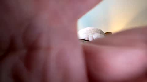 Snapshot of gngnxxx chatting on 10.07.25 gngnxxx online show from 10.07.25