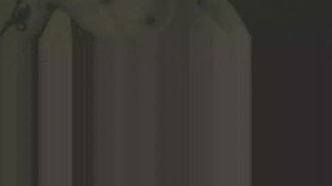 Snapshot of gnz310388 chatting on 02.12.26 gnz310388 online show from 02.12.26