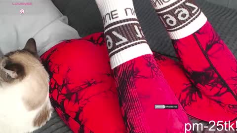 Snapshot of goddessemmmyy chatting on 02.03.26 Goddess EmmaBratt princess online show from 02.03.26