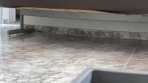 Snapshot of goddesshannahfeet_ chatting on 04.07.26 goddesshannahfeet_ online show from 04.07.26