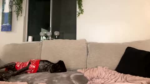 Snapshot of goddessmayvn chatting on 12.26.24 GoddessMayvn online show from 12.26.24