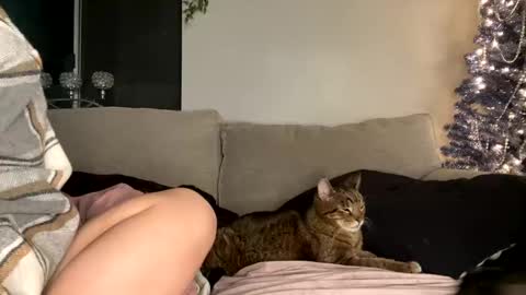 Snapshot of goddessmayvn chatting on 12.29.24 GoddessMayvn online show from 12.29.24