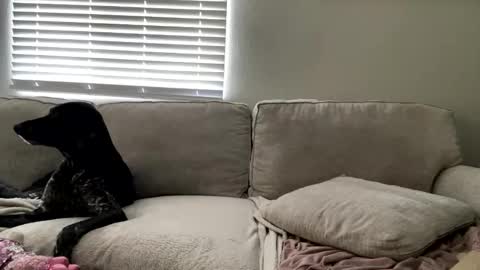 GoddessMayvn online show from 05.04.26