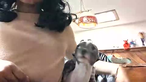 Snapshot of goddessxxamina chatting on 01.13.26 goddessxxamina online show from 01.13.26