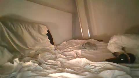 Snapshot of godonsin chatting on 12.17.24 godonsin online show from 12.17.24