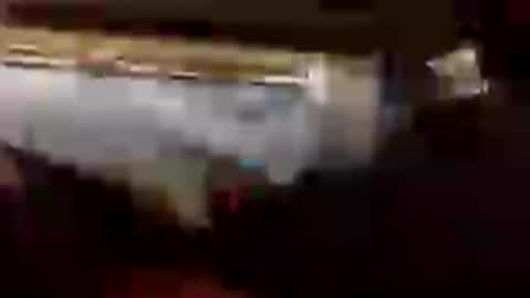 gogome794 online show from 06.28.26