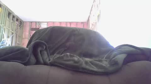 Snapshot of goodcock12345 chatting on 12.03.24 goodcock12345 online show from 12.03.24