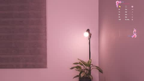 Snapshot of gorgeous_brunette chatting on 05.19.26 Rose online show from 05.19.26