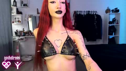    online show from 11.08.25