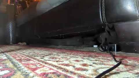 Snapshot of gothicfeetfantasies chatting on 01.25.25 Mistress Mommy Godess online show from 01.25.25