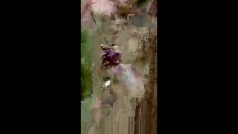 grabisz30 online show from 05.11.26