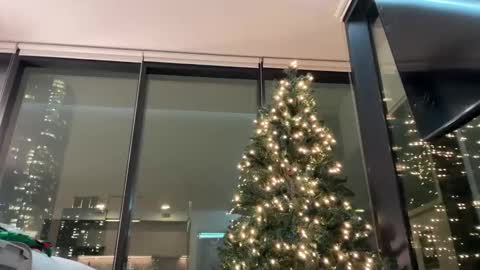 Gracie Mae online show from 12.03.25