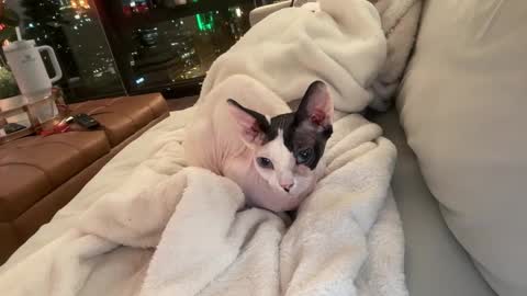 Gracie Mae online show from 12.23.25