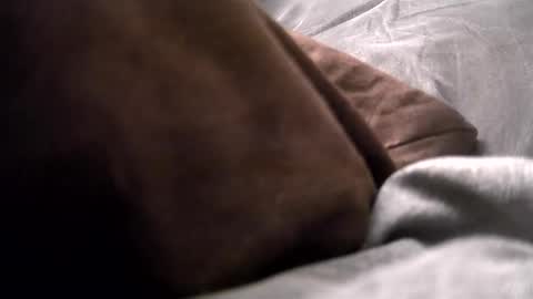 Snapshot of gratiotony chatting on 12.16.24 Get US to 1000 you wont be disapointed online show from 12.16.24