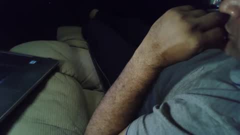 Grey Stud online show from 02.11.25