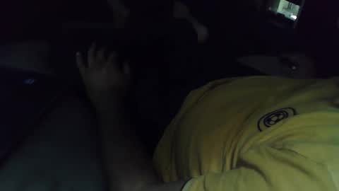 Grey Stud online show from 10.08.25