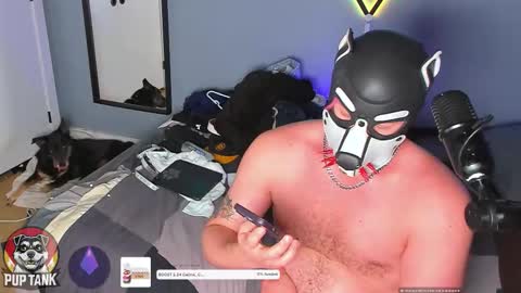 Snapshot of growingcub94 chatting on 11.23.25 Alpha pup online show from 11.23.25