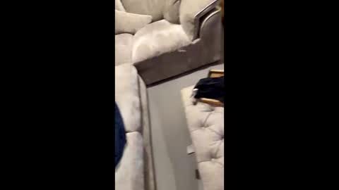 gt79802068 online show from 11.11.25