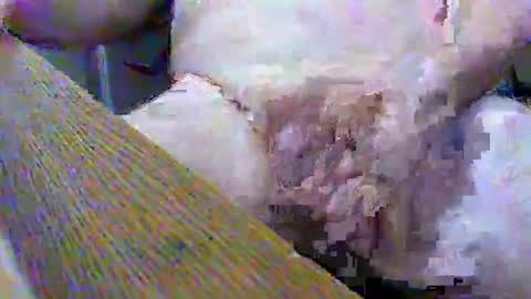 Gary online show from 02.02.25