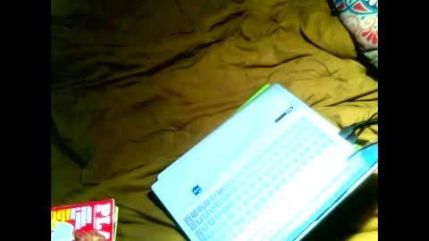 gulper28 online show from 03.03.25