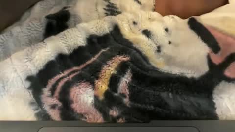 gumbywanna online show from 05.04.26