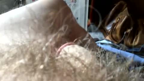 guttersnipe71 online show from 11.15.25