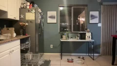 Snapshot of guyduder chatting on 11.13.25 guyduder online show from 11.13.25